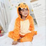 Déguisement Salamèche Adulte Déguisement Jeux Vidéos Déguisement Pokemon
