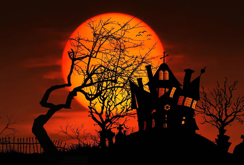 Déguisement pour Enfants Squelette Zombie modèle halloween