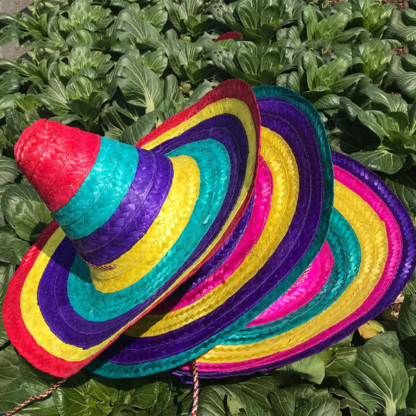 Chapeaux de paille à bords colorés style mexicain Déguisement Historique Déguisement Mexicain