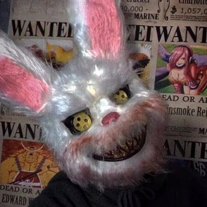 Masque lapin tueur Déguisement Mania