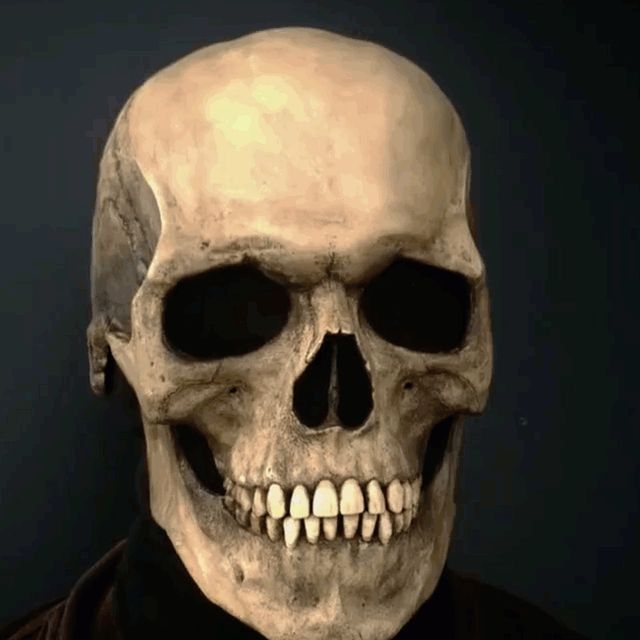Sans titre