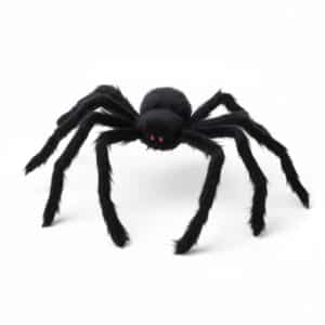 Araignée noire pour la décoration d'Halloween sur fond blanc