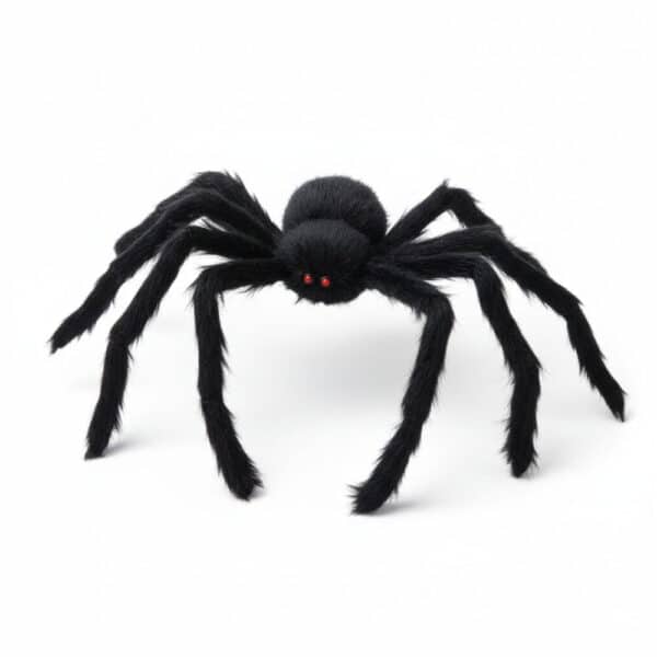 Araignée noire pour la décoration d'Halloween sur fond blanc
