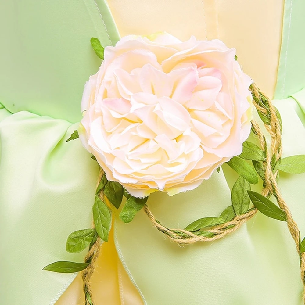 Robe princesse LED déguisement la Princesse et la Grenouille – Image 4